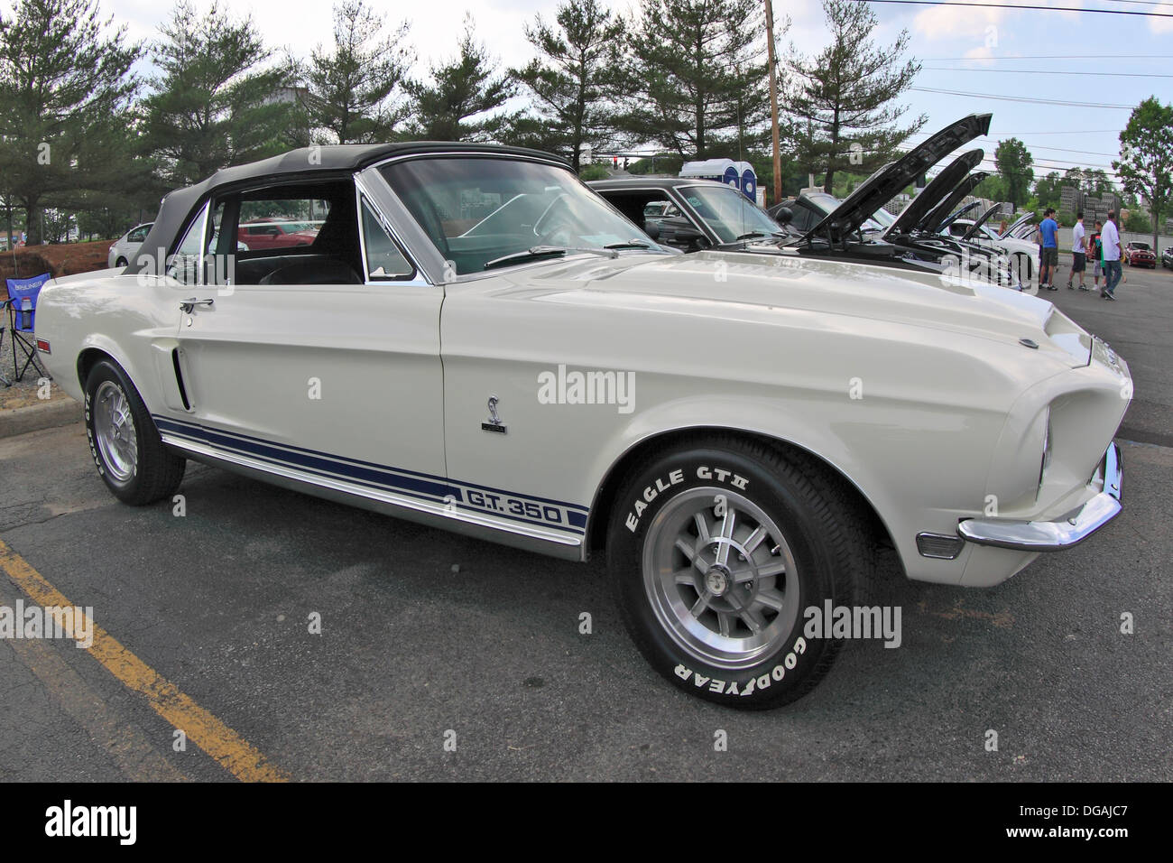 1967 Ford Shelby Mustang GT 350 Long Island New York Foto Stock