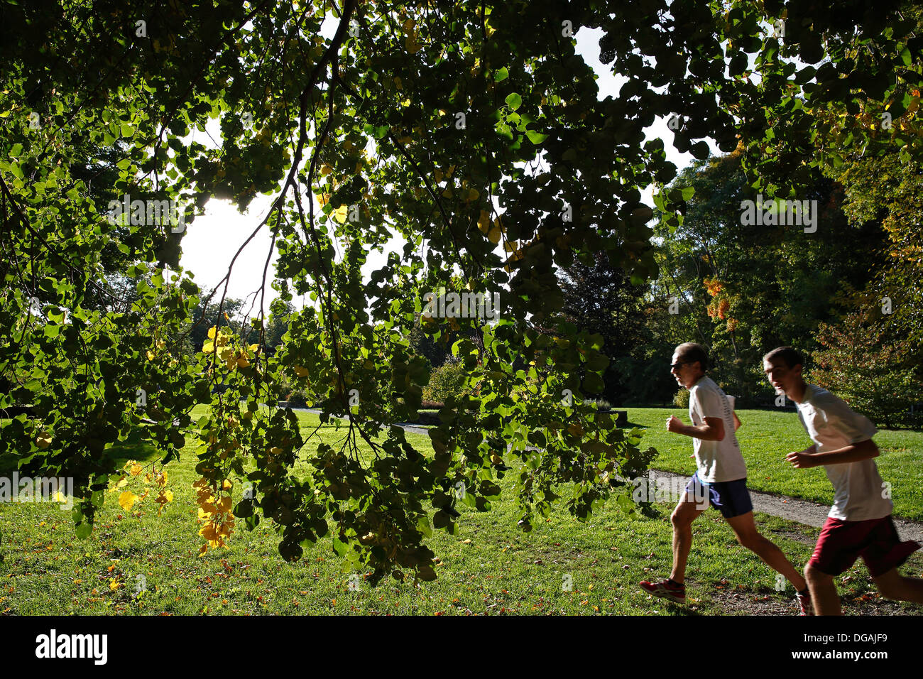 Per chi ama fare jogging in Arnold Arboretum, Boston, Massachusetts, STATI UNITI D'AMERICA Foto Stock