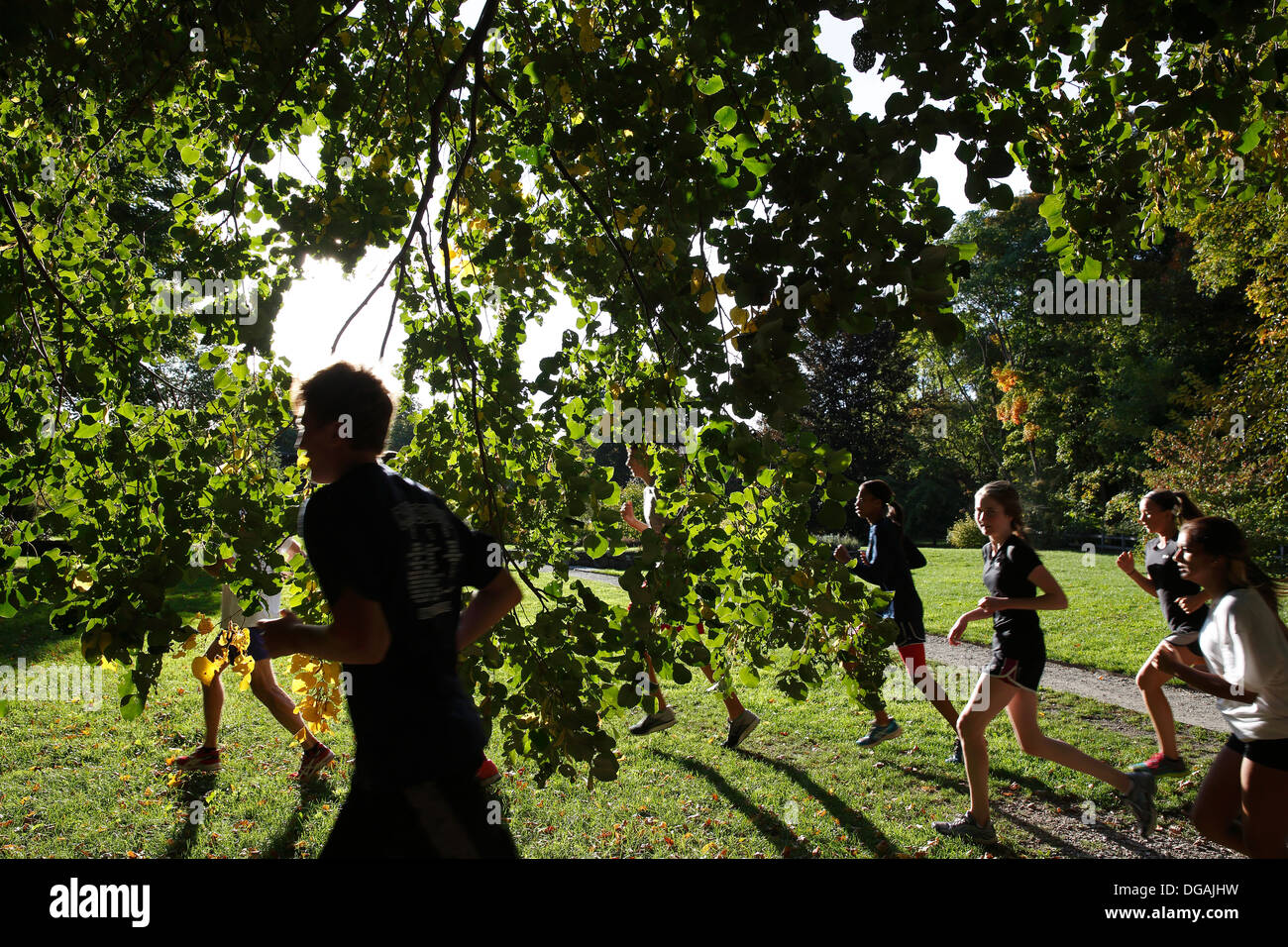 Per chi ama fare jogging in Arnold Arboretum, Boston, Massachusetts, STATI UNITI D'AMERICA Foto Stock