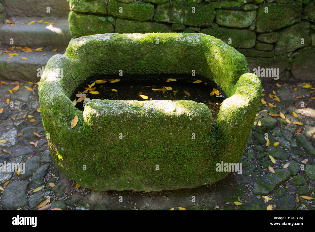 Un antico in pietra di granito trogolo nei giardini di Godolphin una casa del XVII secolo residenza di campagna in Cornovaglia, UK. Foto Stock