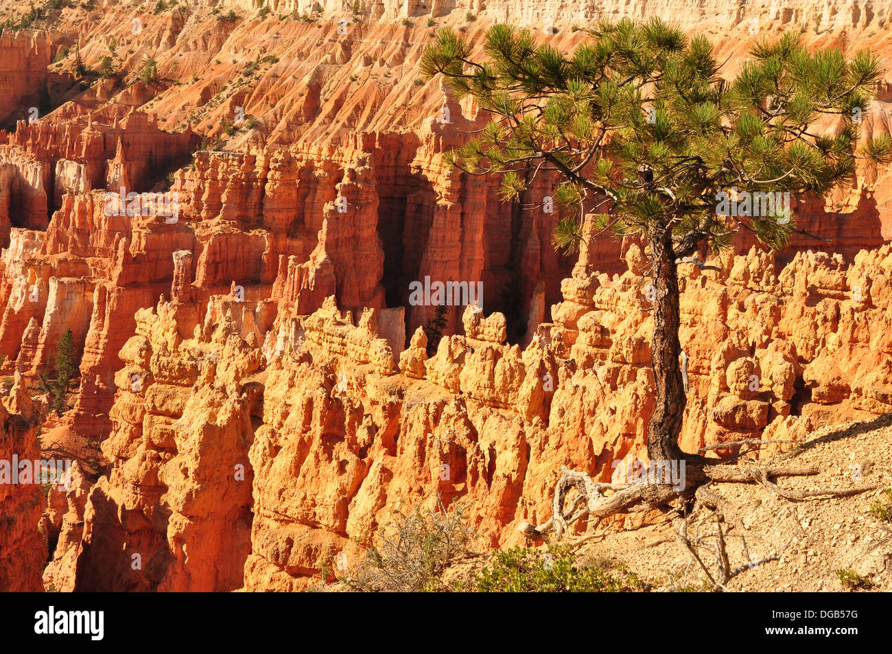 Panorama di Bryce Canyon NP, Utah, Stati Uniti d'America Foto Stock