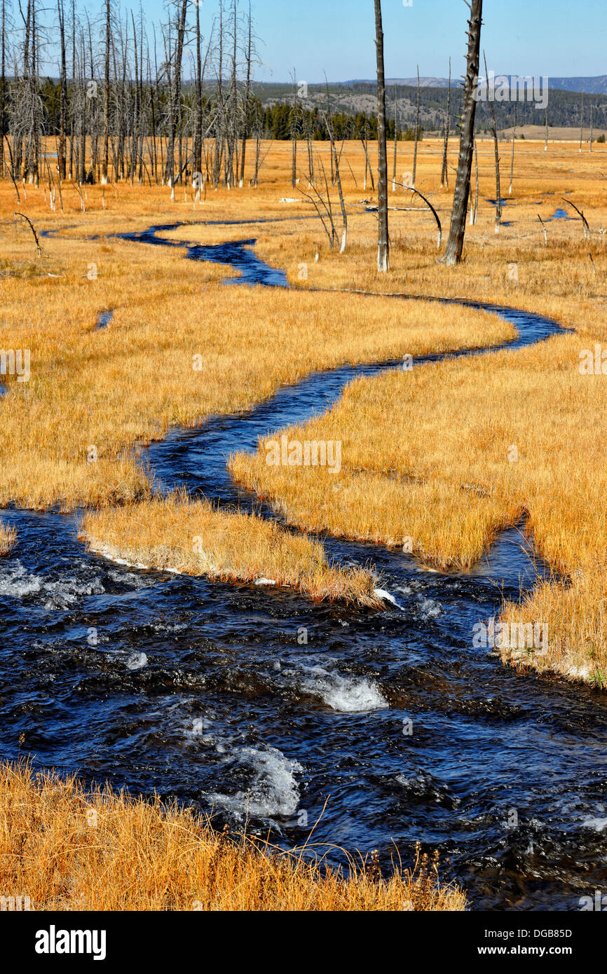 Un piccolo ruscello in basso Geyser Basin vicino Firehole del Lago Yellowstone NP Wyoming USA Foto Stock