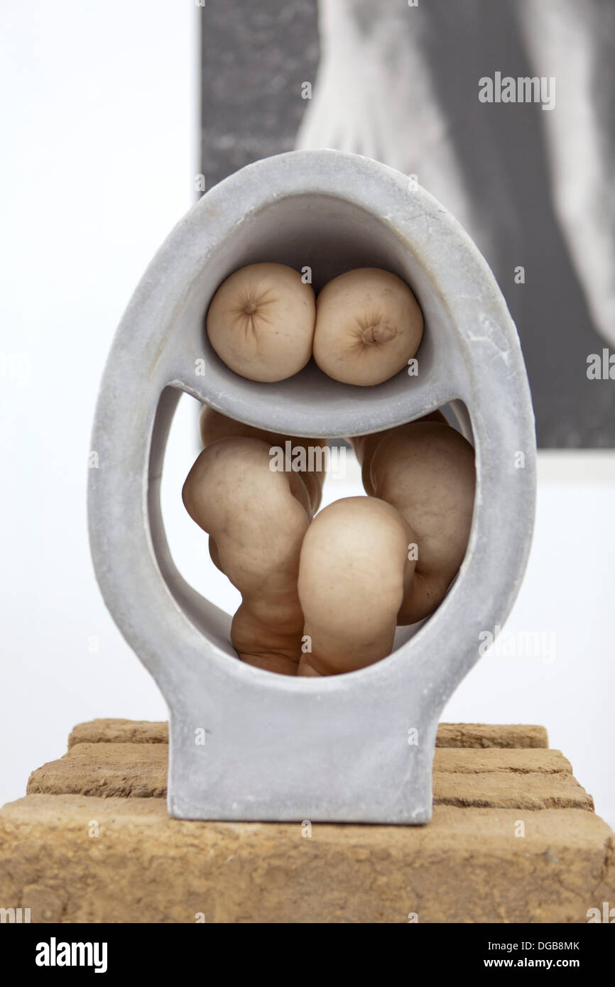 Regent's Park di Londra, Regno Unito. Il 17 novembre 2013. Sara Luca di lavoro a Londra fregio Fiera d'arte. Credito: Alessio ai Paratore/Alamy vivere nuove Foto Stock