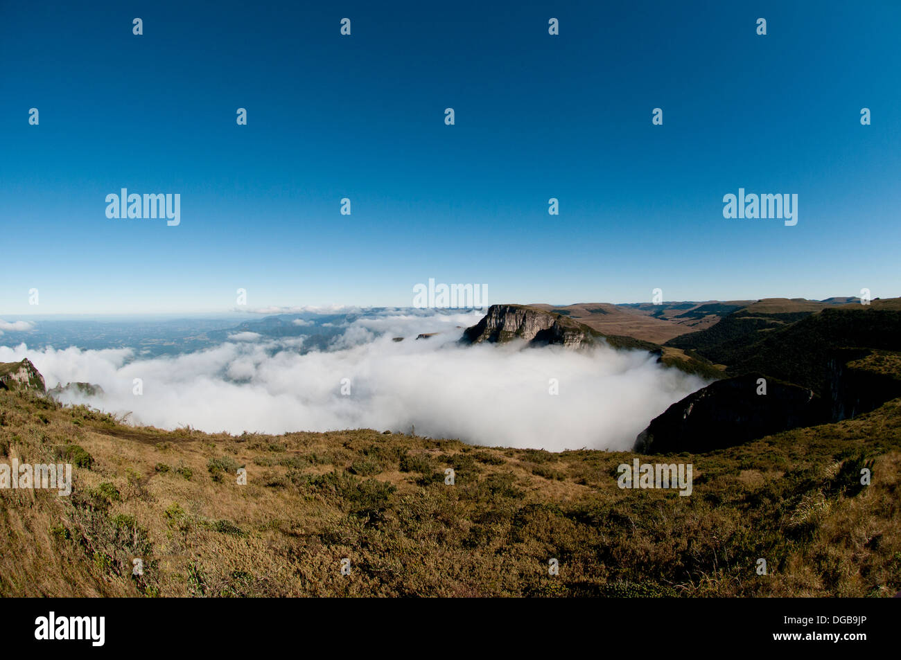 La Chiesa Hill è una montagna appartenente al São Joaquim parco nazionale, nello stato di Santa Catarina, Brasile Foto Stock