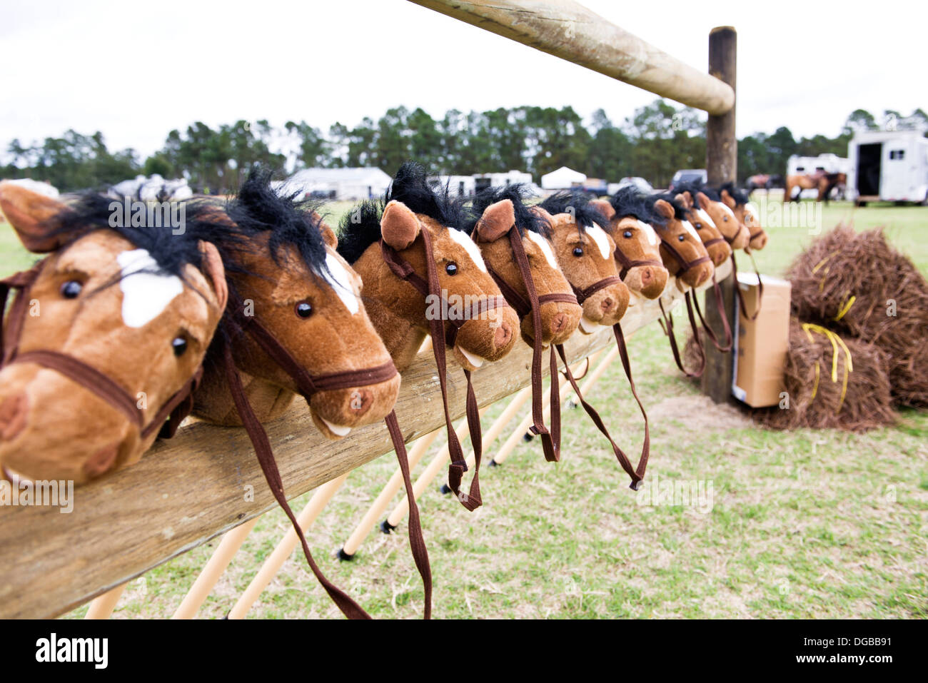 Allevamento di stick pony allineati e pronti a correre Foto Stock