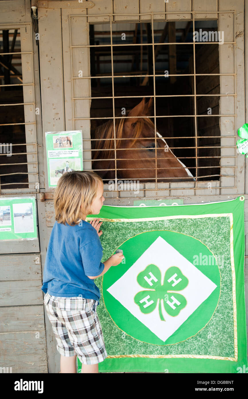 Un giovane ragazzo con capelli lunghi guardando un cavallo in una stalla presso la Fiera di Stato in Asheville Carolina del Nord Foto Stock