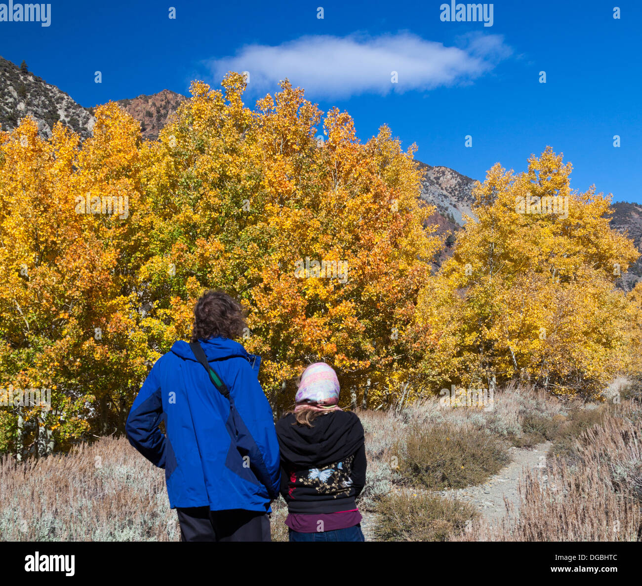 Gli escursionisti lo sguardo al colore di autunno in Lundy Canyon nel nord della California Foto Stock