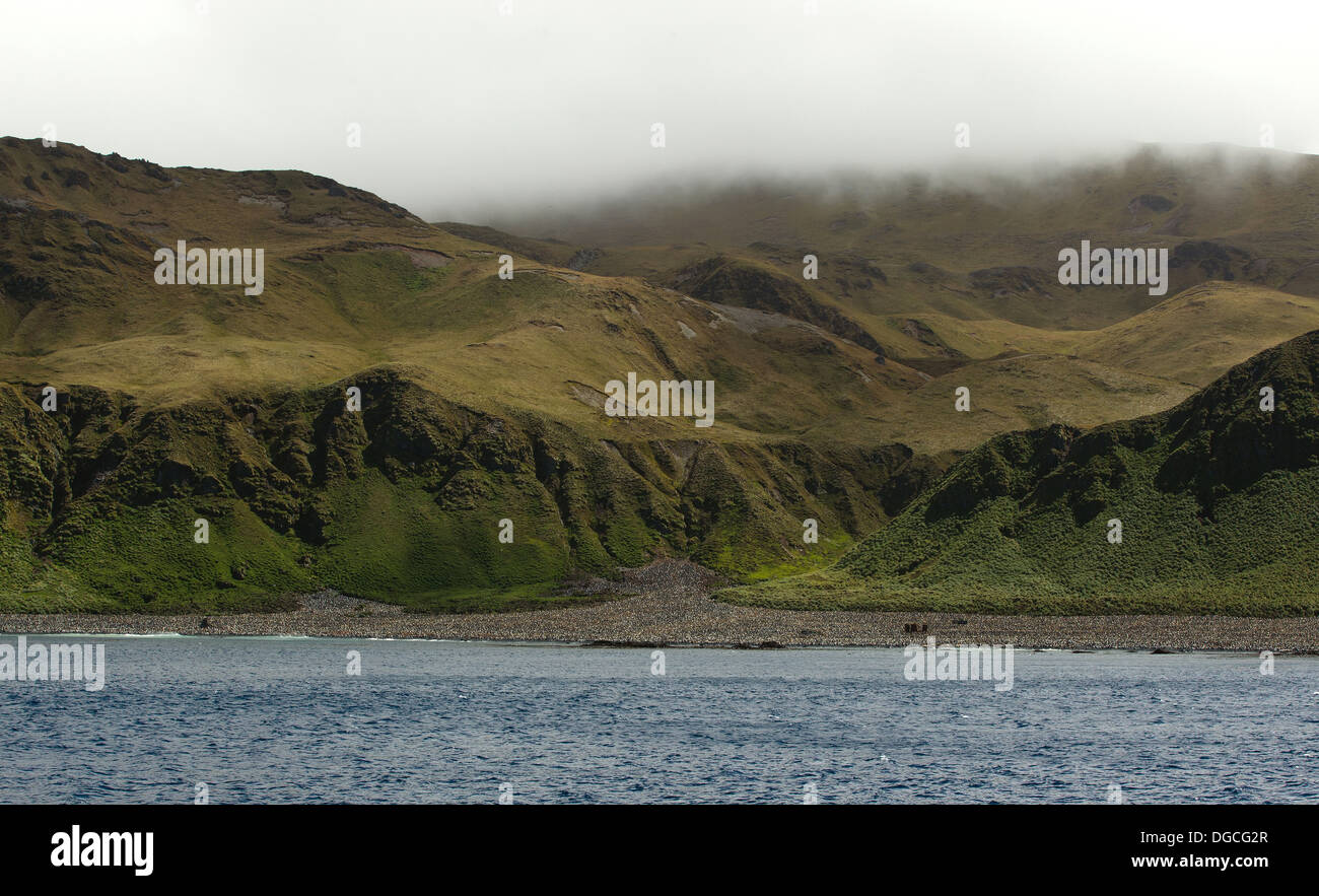 Re colonia di pinguini, a Lusitania Bay, lungo la costa orientale di Macquarie Island, Oceano Meridionale Foto Stock