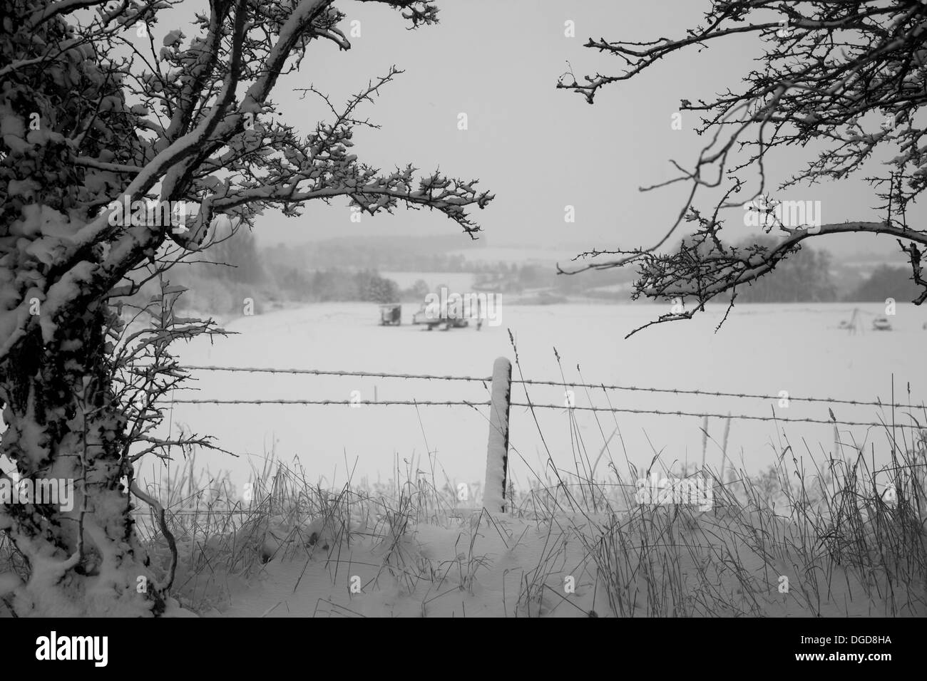 Coperta di neve macchine visto attraverso gli alberi in una fredda giornata invernale e Foto Stock