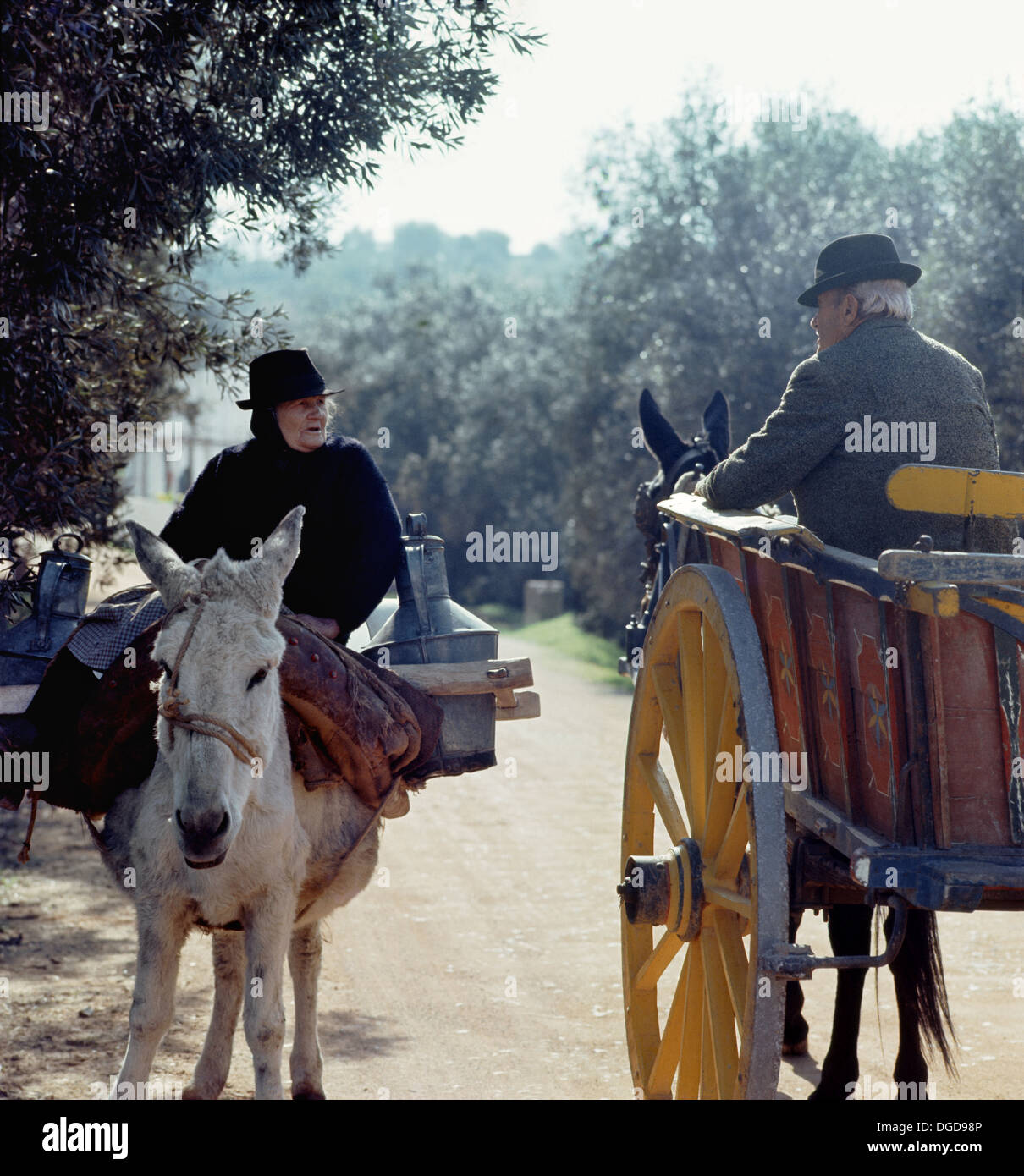 Il Portogallo, Algarve, Santa Bárbara, giovane con asino e un mulo carrello su un vicolo del paese Foto Stock