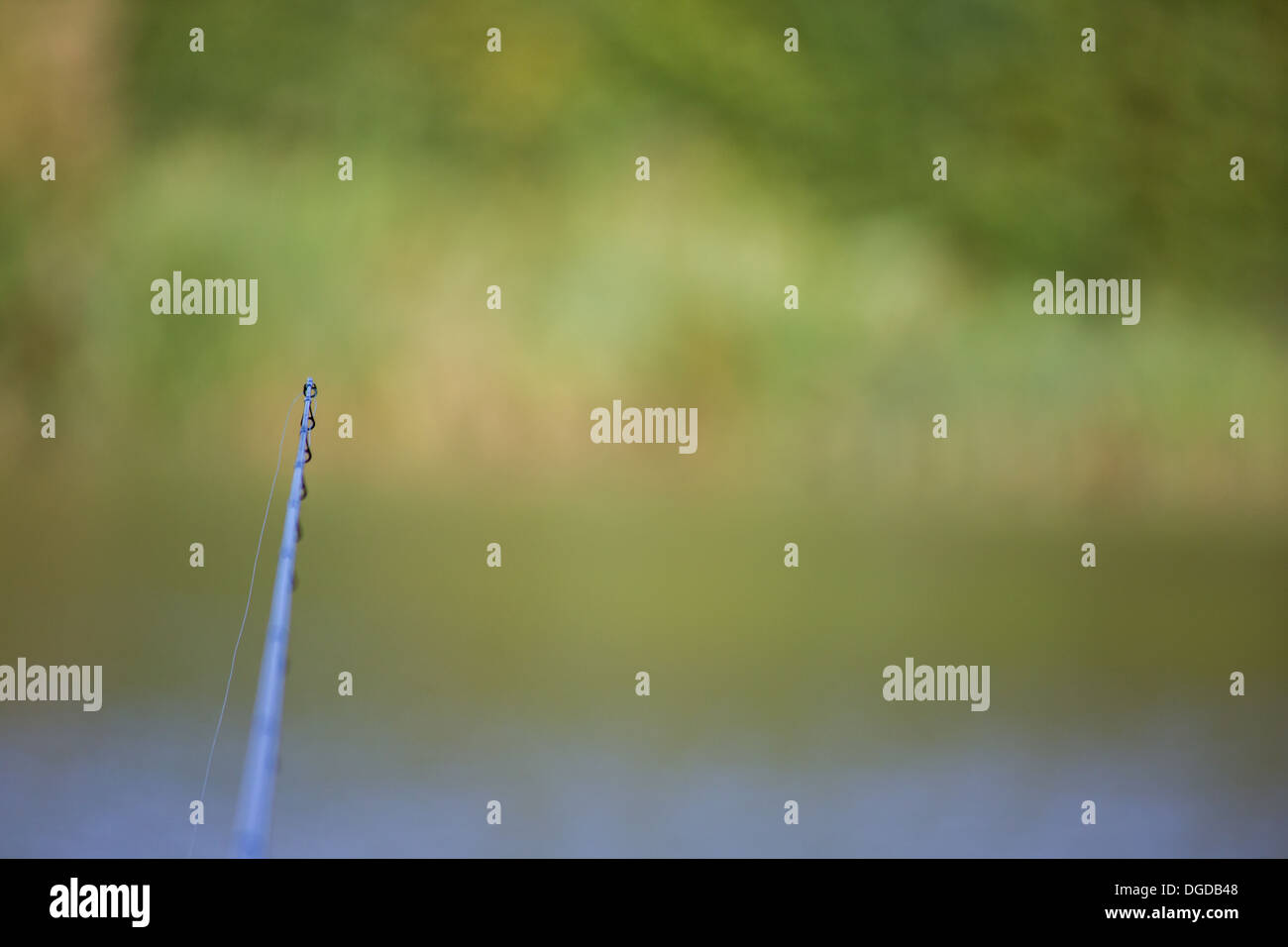 La punta di una canna da pesca attende fuori sopra la superficie del lago. La riva opposta del lago per la pesca sportiva può essere vista attraverso l'acqua Foto Stock