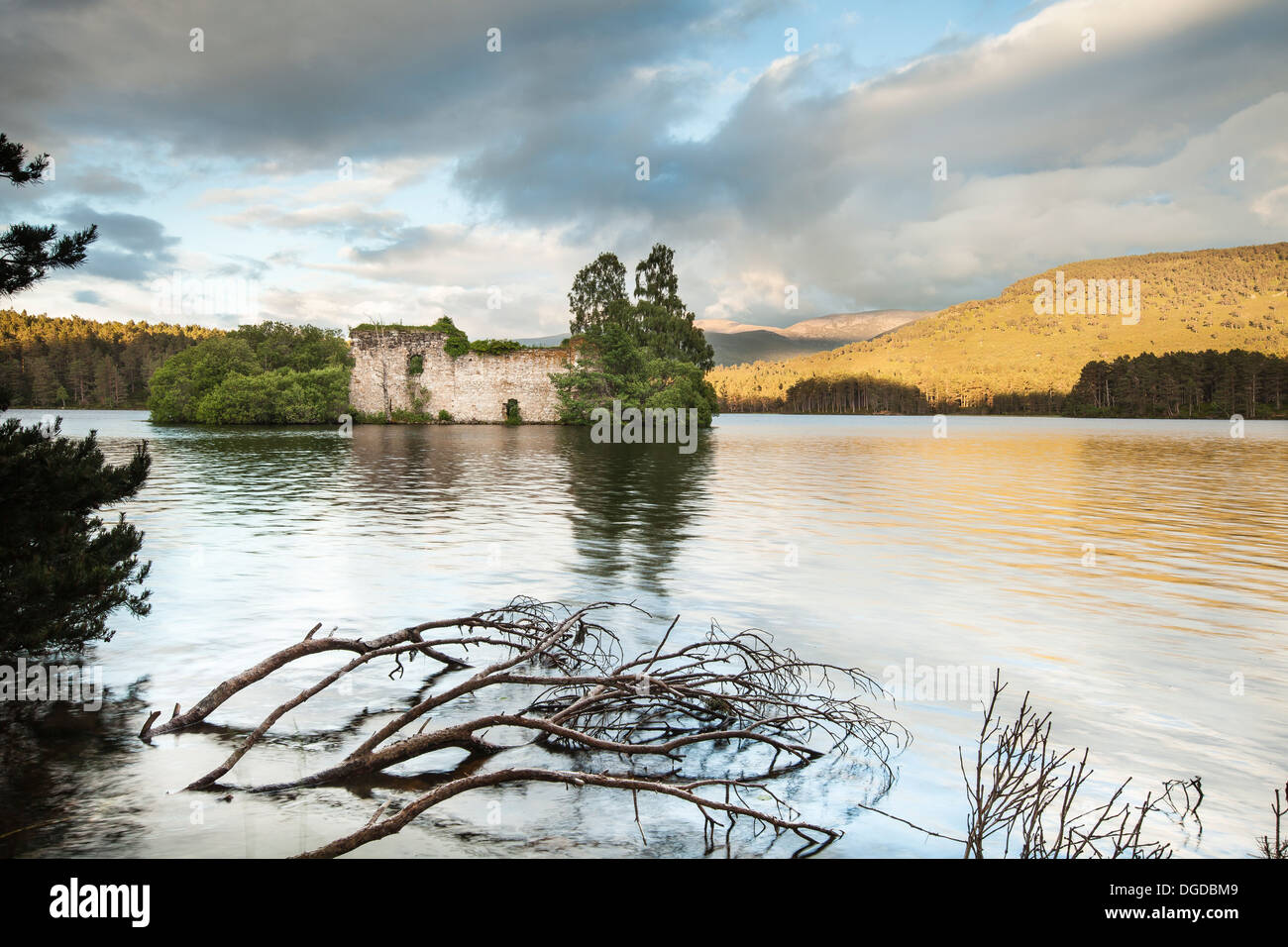 Loch un castello Eilein a Rothiemurchus vicino a Aviemore in Scozia Foto Stock