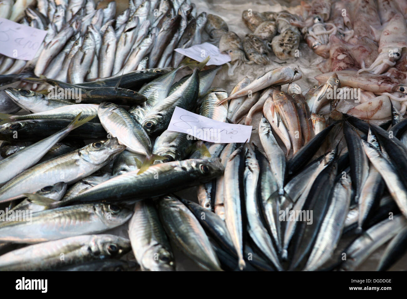 Il pesce per la vendita a Catania il mercato del pesce, Sicilia, Italia. Foto Stock