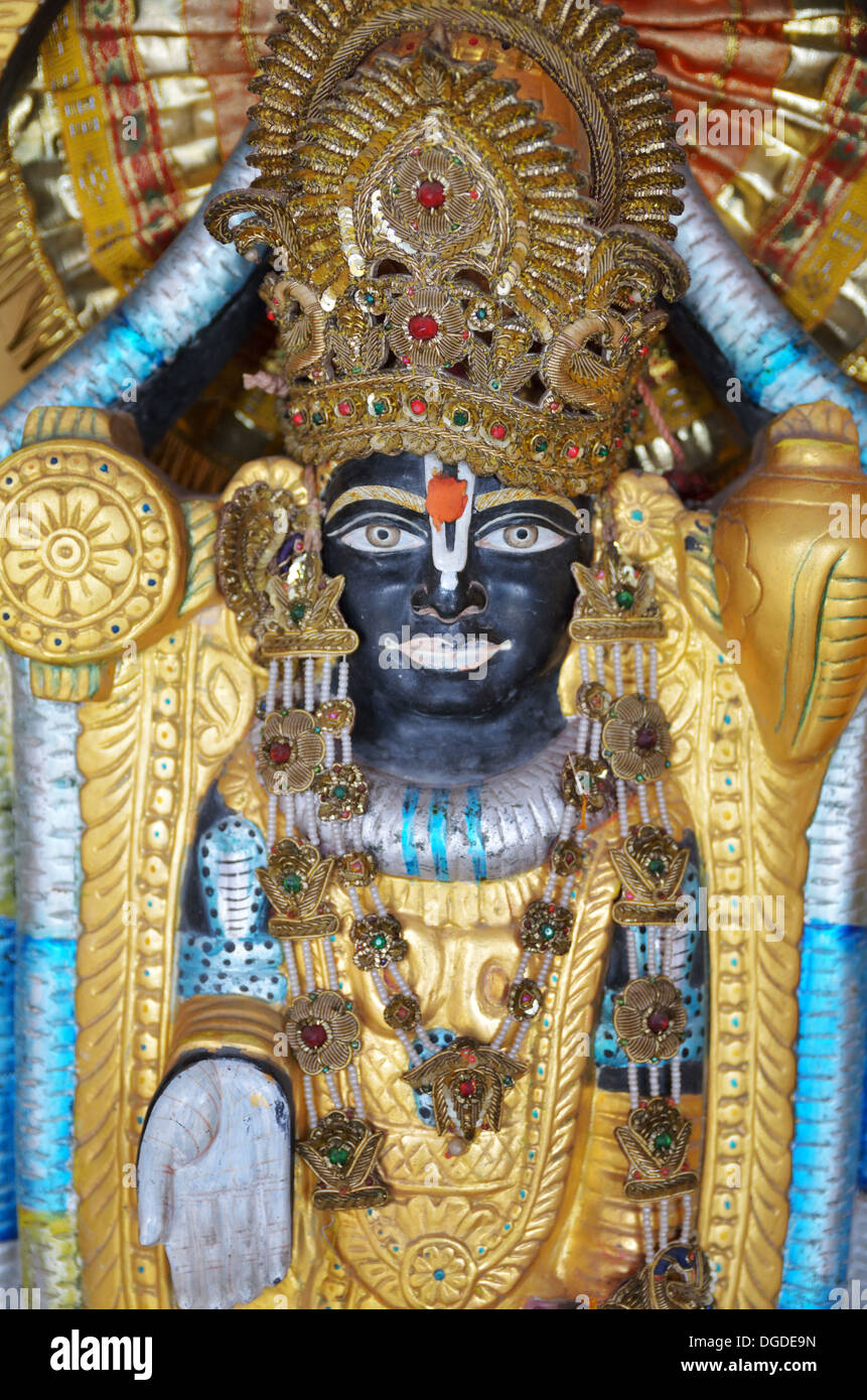 La statua della dea Kali In Shri Trayanbakshwar tempio, Rishikesh, India Foto Stock