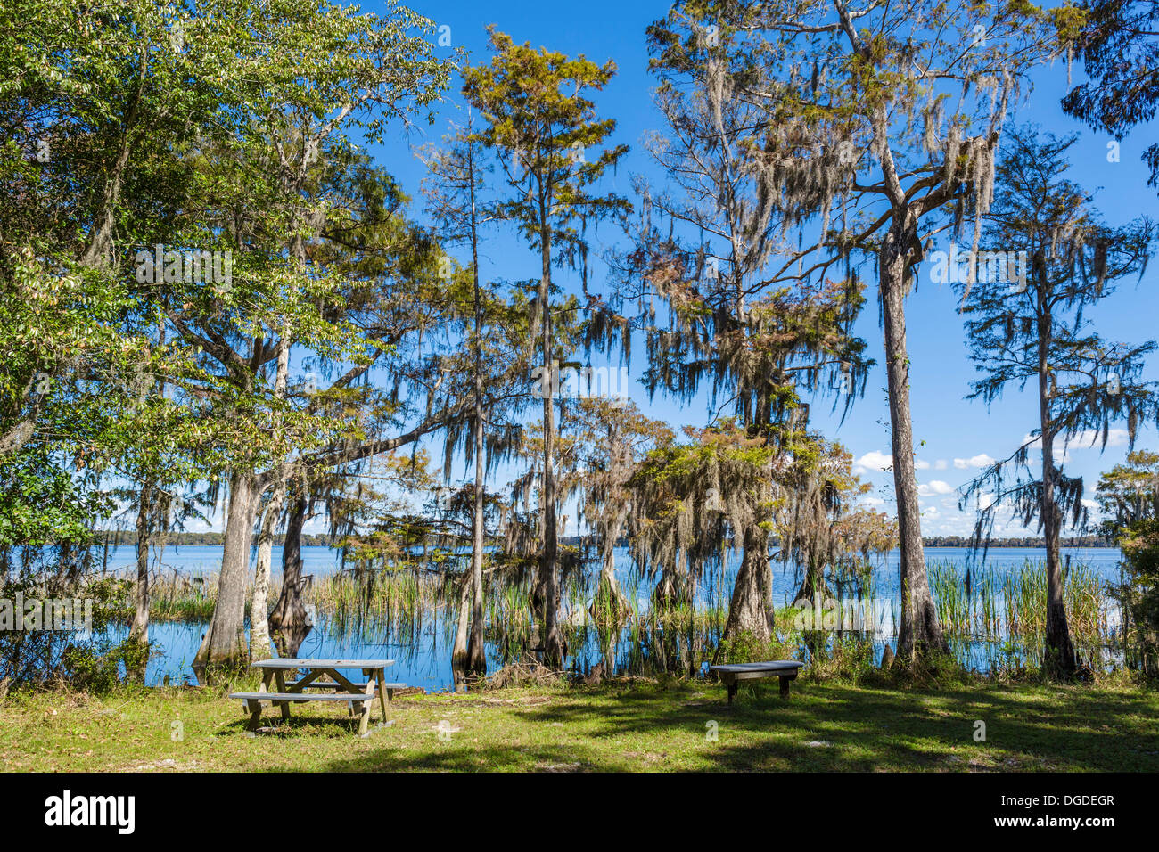 Area picnic in riva al lago di Russell, Nature Conservancy Disney riserva selvaggia, Poinciana, Kissimmee, vicino a Orlando, Florida, Stati Uniti d'America Foto Stock