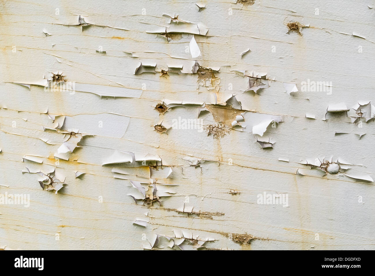 Un close-up di una vecchia barca da pesca scafo in stato di abbandono, con peeling vernice e legno stagionato su Prince Edward Island. Foto Stock