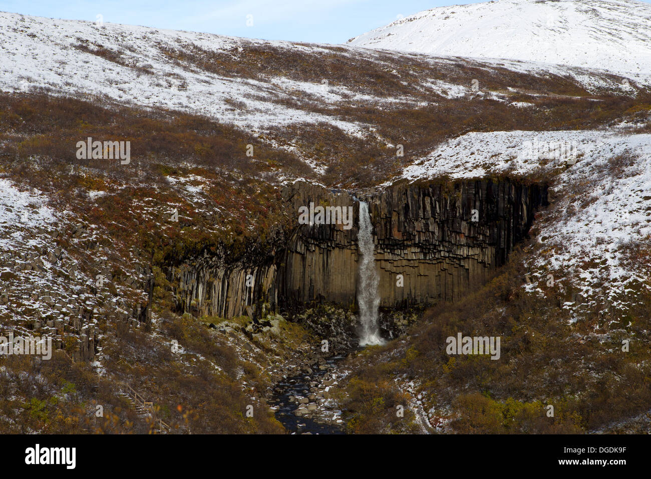 Il Svartifoss è una cascata in Skaftafell National Park nel sud dell'Islanda Foto Stock