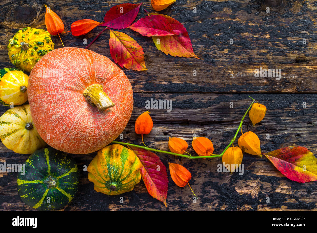 Impostazione di autunno sul tavolo di legno con frutta e verdura Foto Stock