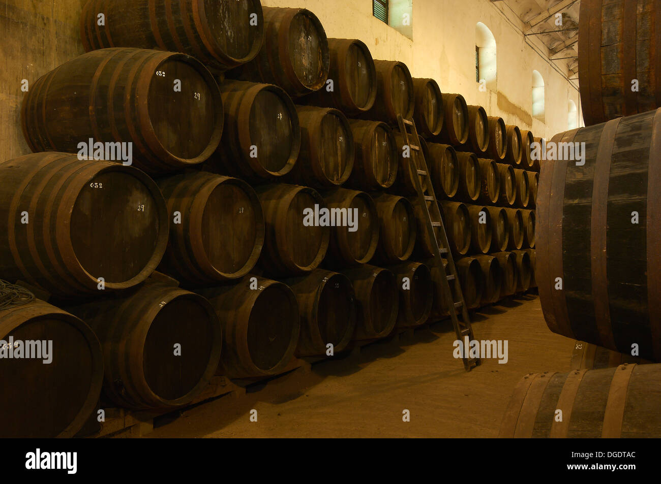 Montilla, Perez Barquero Cantina, Montilla-Moriles percorso vinicolo, Cordoba, Andalusia, Spagna Foto Stock