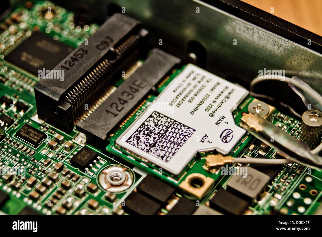 Un mini-PCIe scheda di rete wireless adapter (WiFi) collegato ad una antenna tramite i cavi (mostrata in figura). Foto Stock