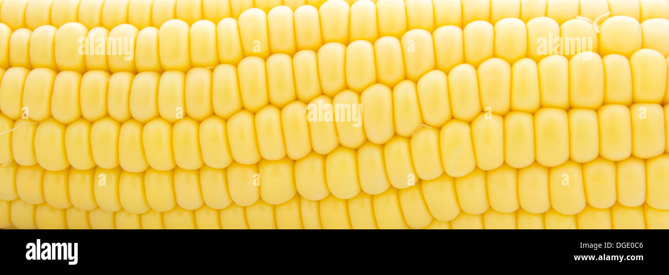Il mais, il frame completo Foto Stock