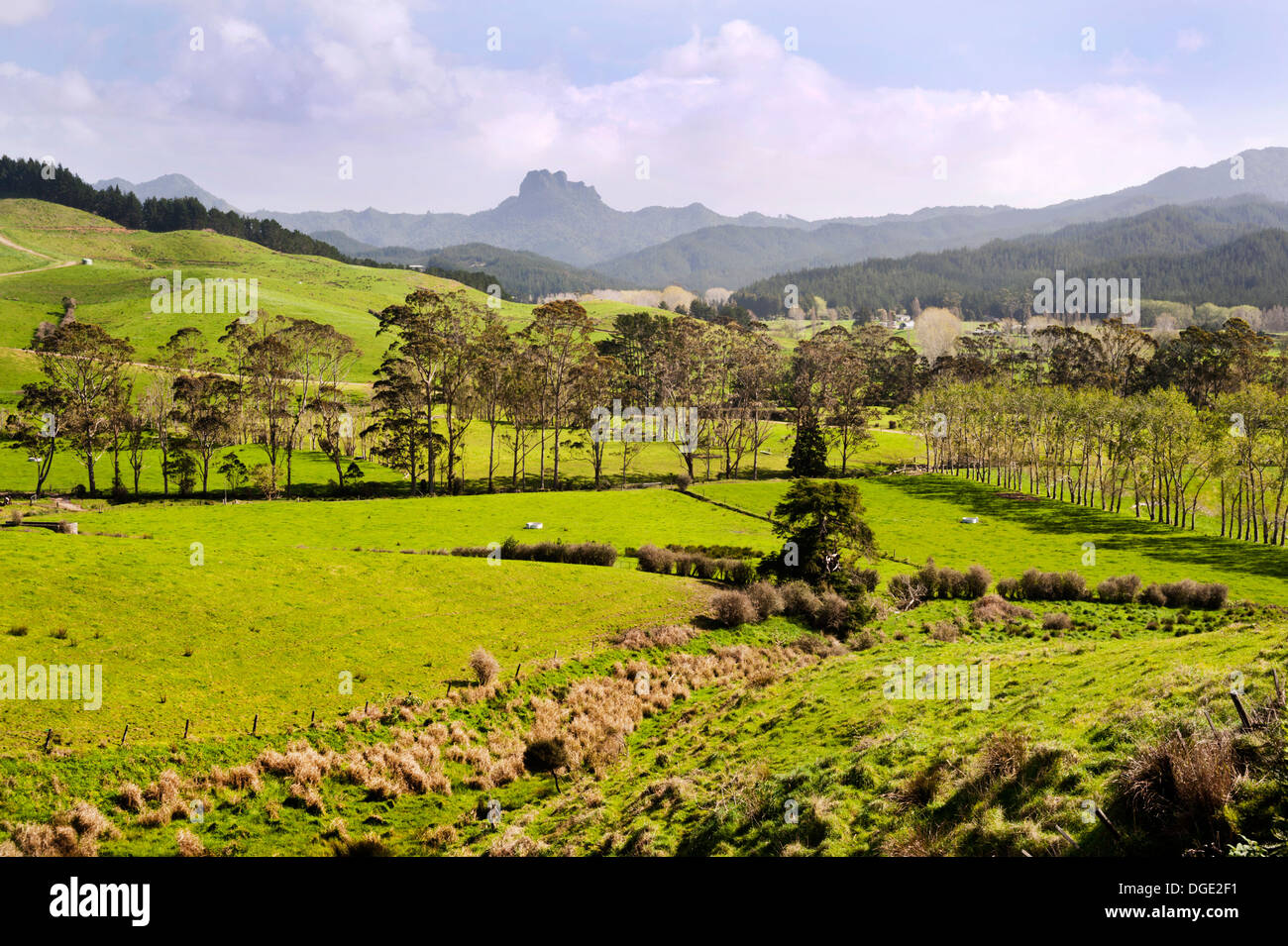Vista del castello di roccia, Penisola di Coromandel, Isola del nord, Nuova Zelanda. Foto Stock