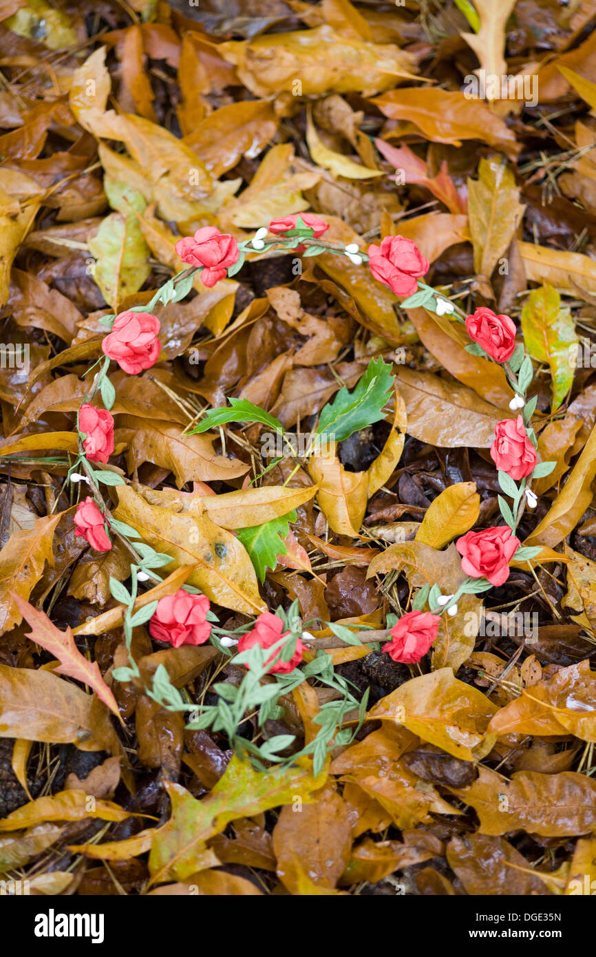 Ghirlanda di fiori che stabilisce in caduta foglie d'oro Foto Stock