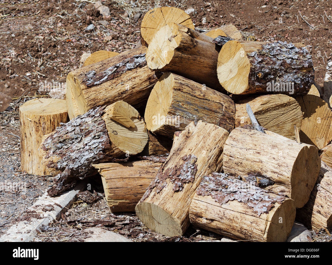 Impilati legna per la stufa in cantiere Foto Stock