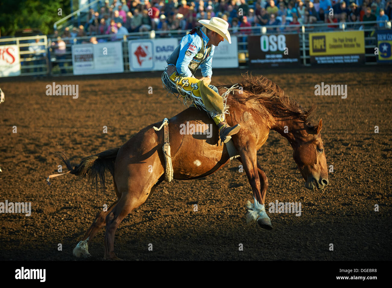 Eugene Pro Rodeo luglio 3-6, 2013. Foto Stock