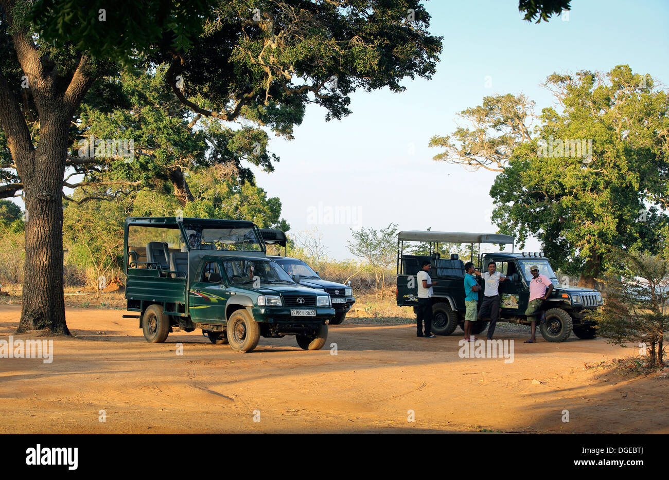 La fauna selvatica safari in jeep guide driver in attesa per i loro clienti in Yala National Park, Sri Lanka Foto Stock La fauna selvatica safari in jeep guide driver in attesa per i loro clienti in Yala National Park, Sri Lanka Foto Stock