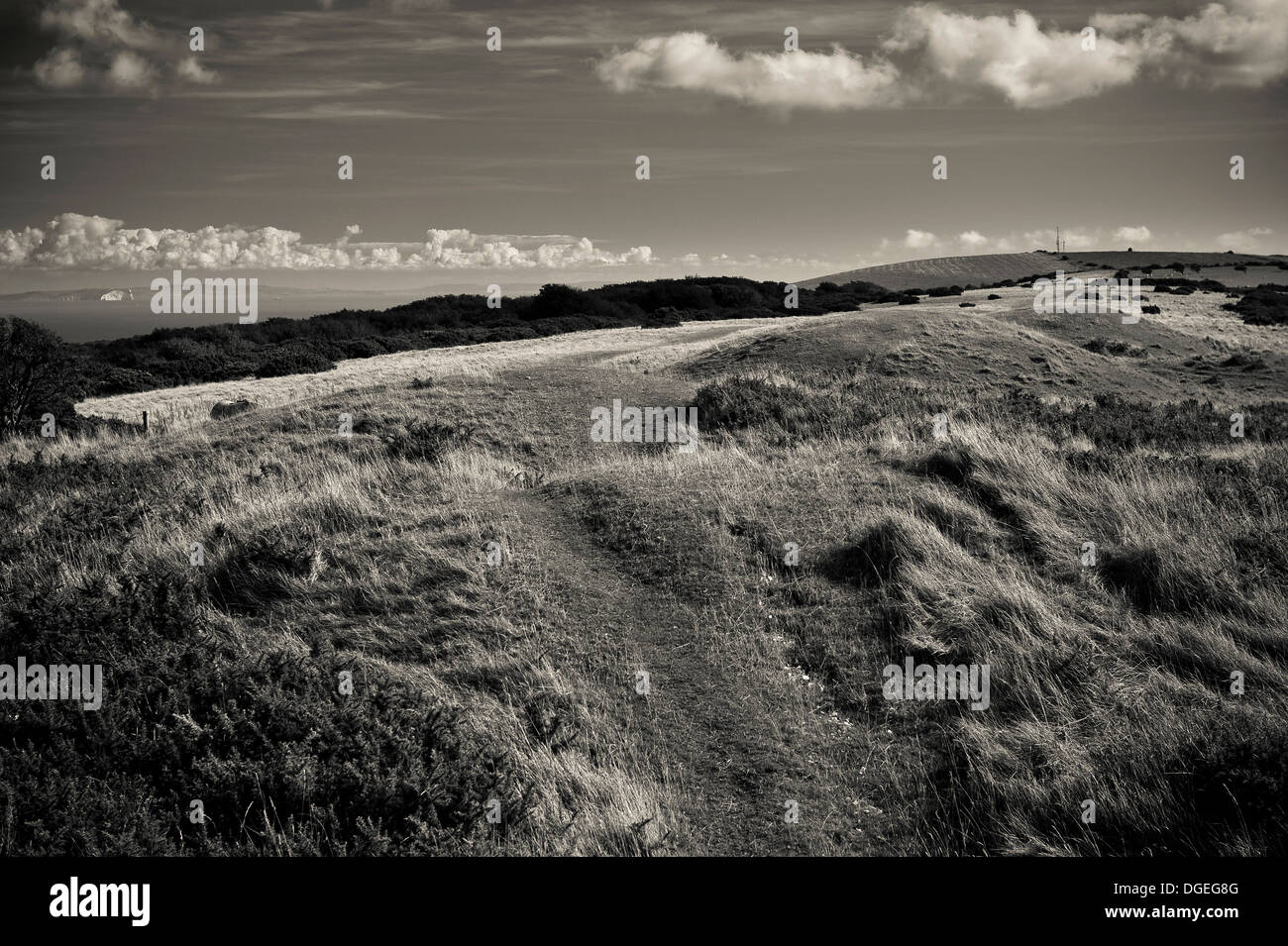 Nove tumuli all età del Bronzo e del Neolitico Barrow cimitero in Purbeck Hills, Dorset, Regno Unito Foto Stock