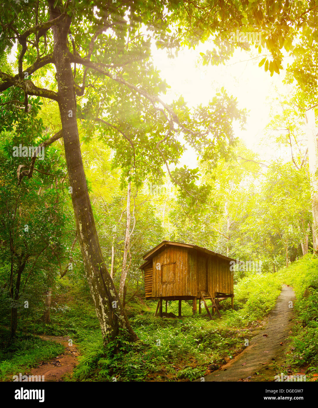 Poco in legno cottage in una foresta tropicale. Il giorno e la luce del sole Foto Stock