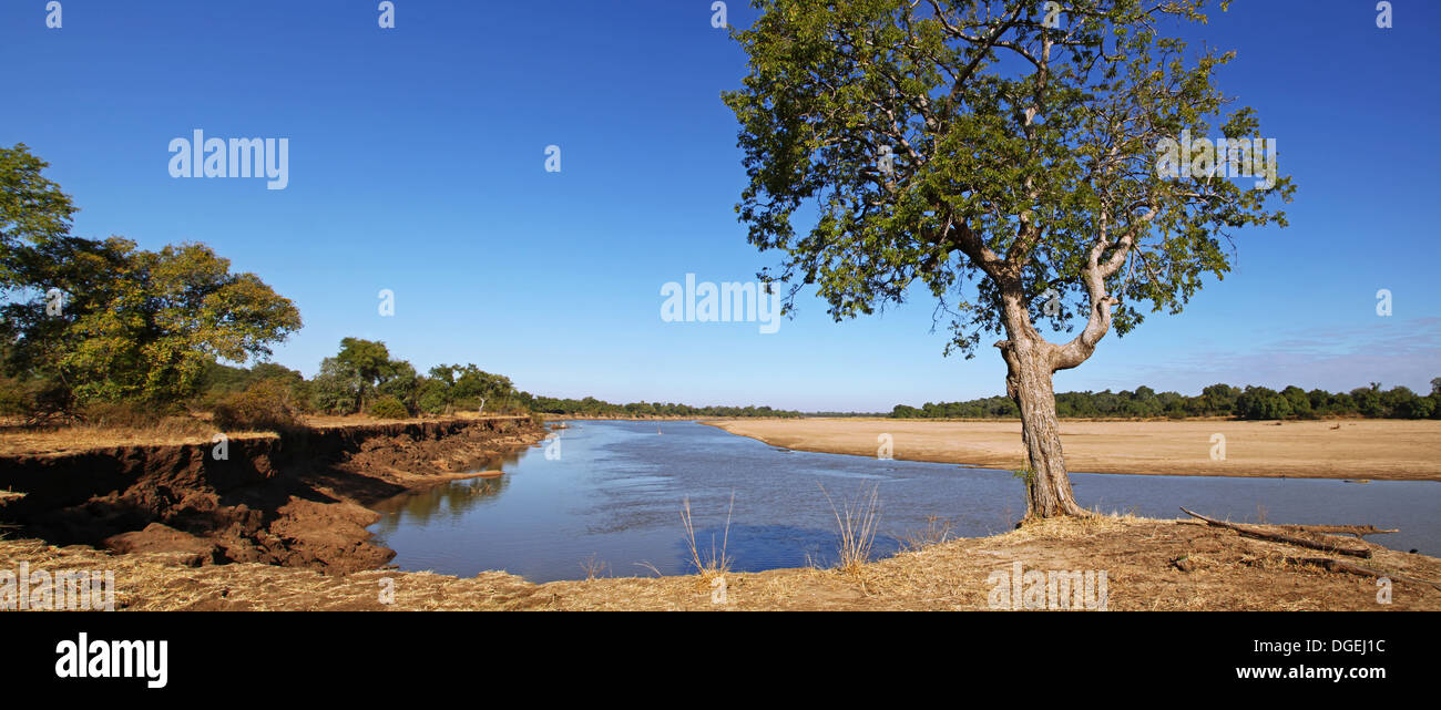 South Luangwa National Park, paesaggio presso il fiume Luangwa, Zambia Foto Stock