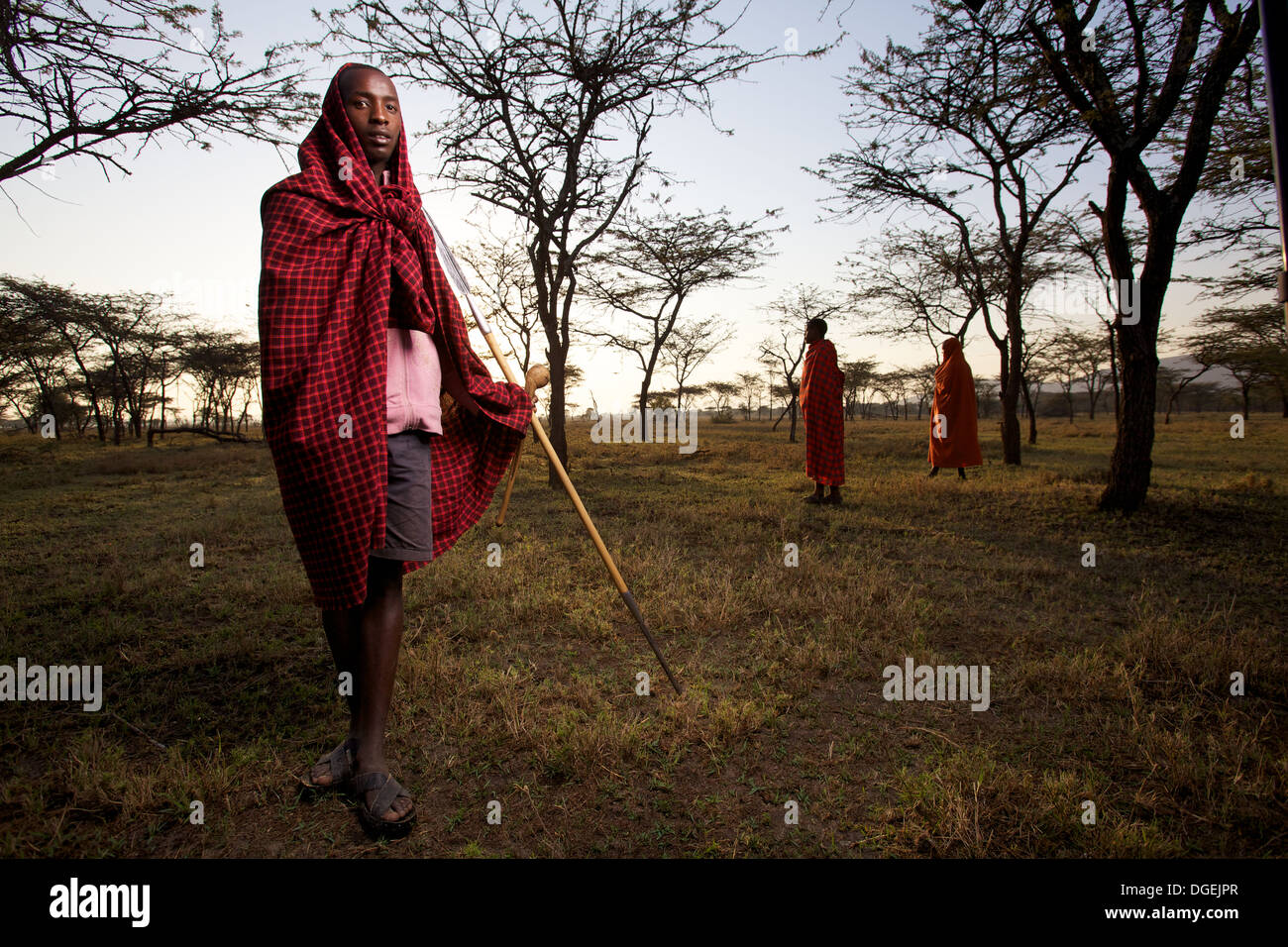 Giovane uomo Masai con lancia all'alba, Mara regione, Kenya Foto Stock