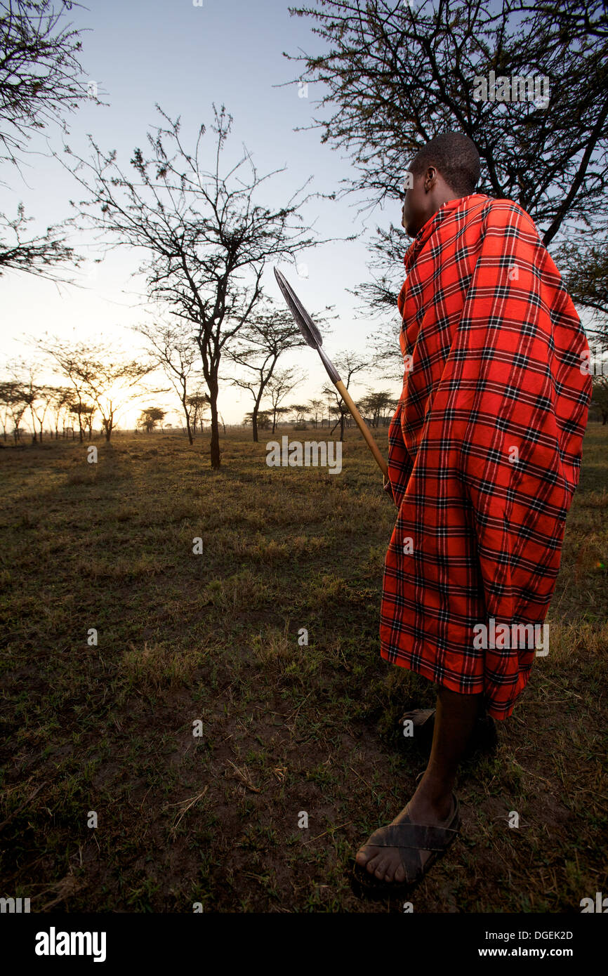 Uomo masai con lancia la visione di sunrise, Mara regione, Kenya Foto Stock