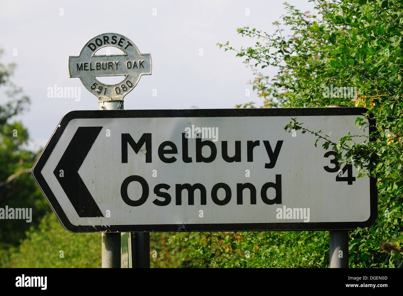 Una parte superiore o roundel tradizionale di un Dorset fingerpost - Quercia Melbury REGNO UNITO Foto Stock