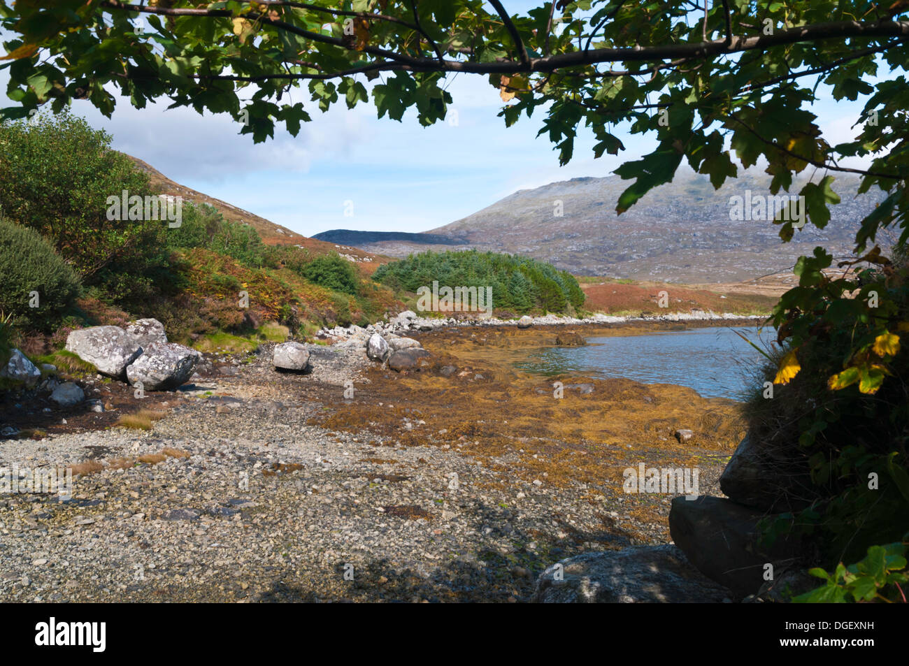 Una vista lungo la linea costiera a Bagh Lathach, Loch eynort, Sud Uist Ebridi Esterne della Scozia Foto Stock