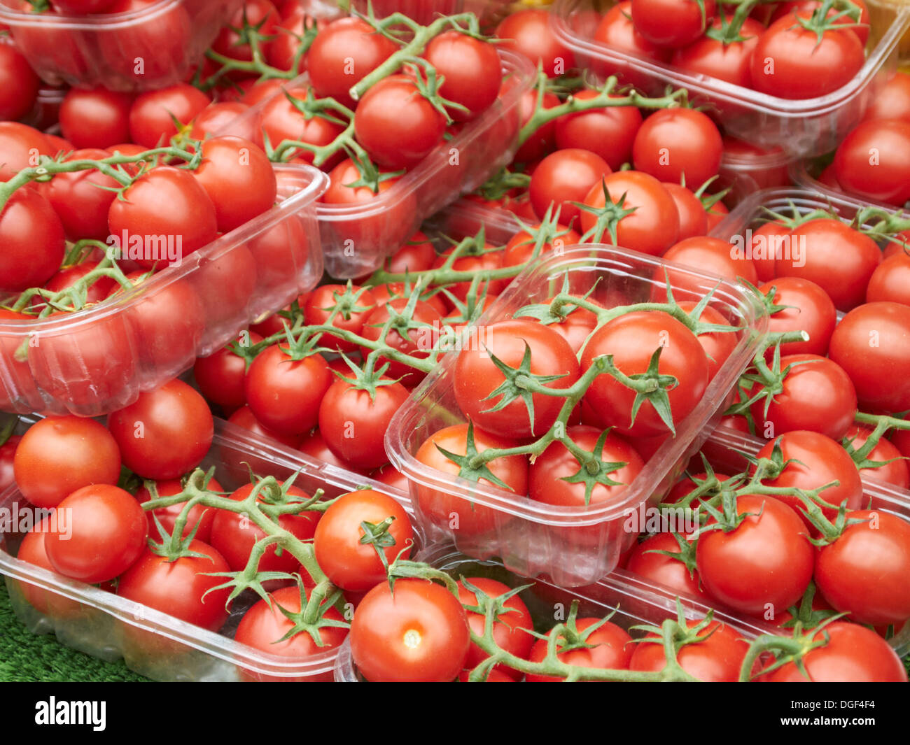 Stelo pomodori in bagno il mercato agricolo, Inghilterra Foto Stock