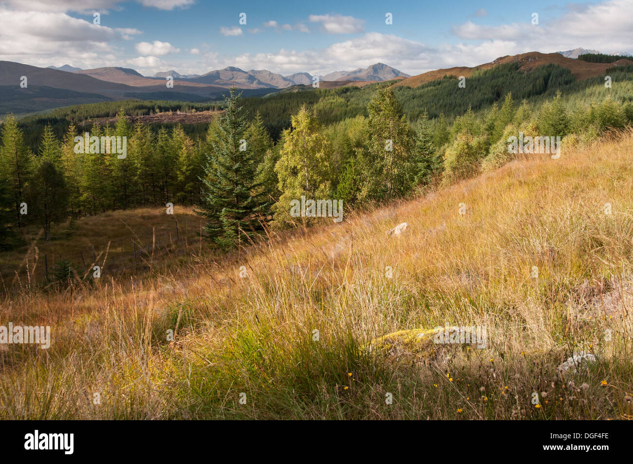 Vista a ovest le montagne tra Loch Garry e Loch Loyne, autunno, Highlands scozzesi Foto Stock