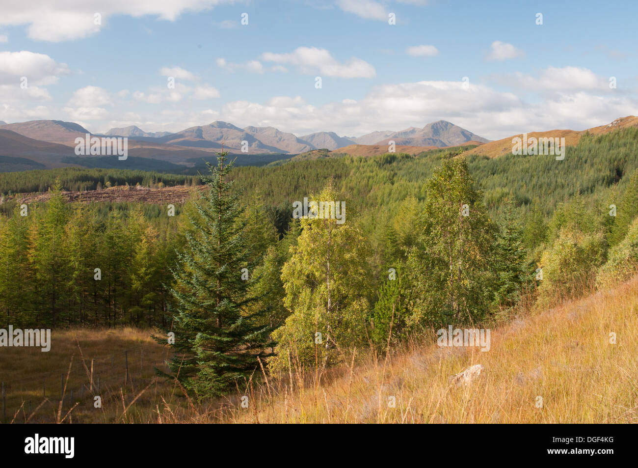 Vista a ovest le montagne tra Loch Garry e Loch Loyne, autunno, Highlands scozzesi Foto Stock