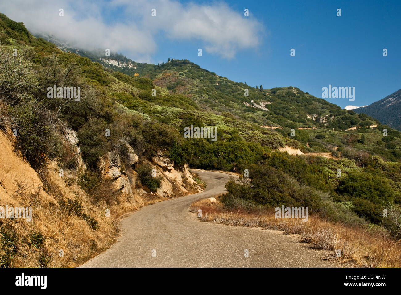 Uno dei 698 curve su strada al minerale re, Sequoia National Park, California Foto Stock