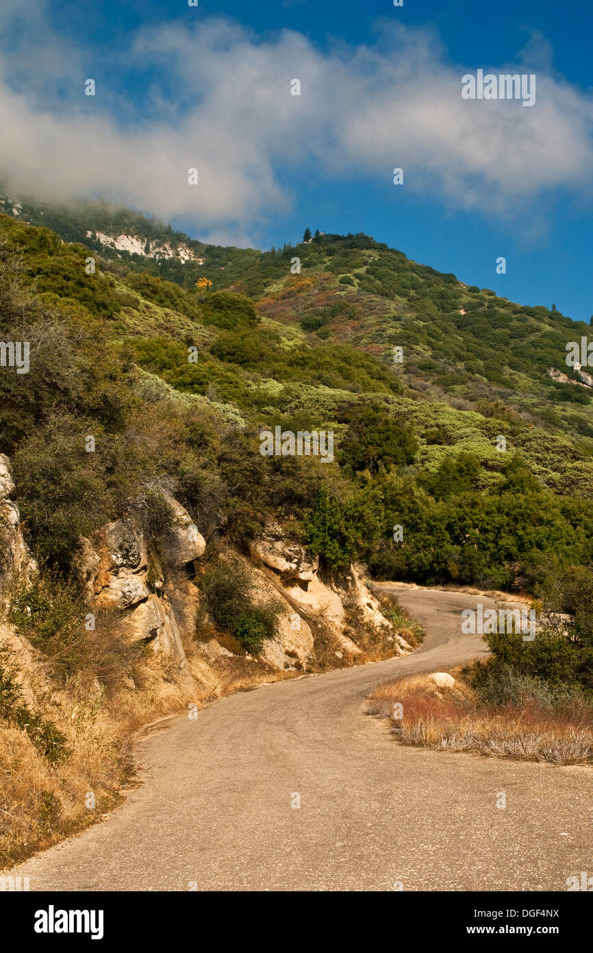 Uno dei 698 curve su strada al minerale re, Sequoia National Park, California Foto Stock