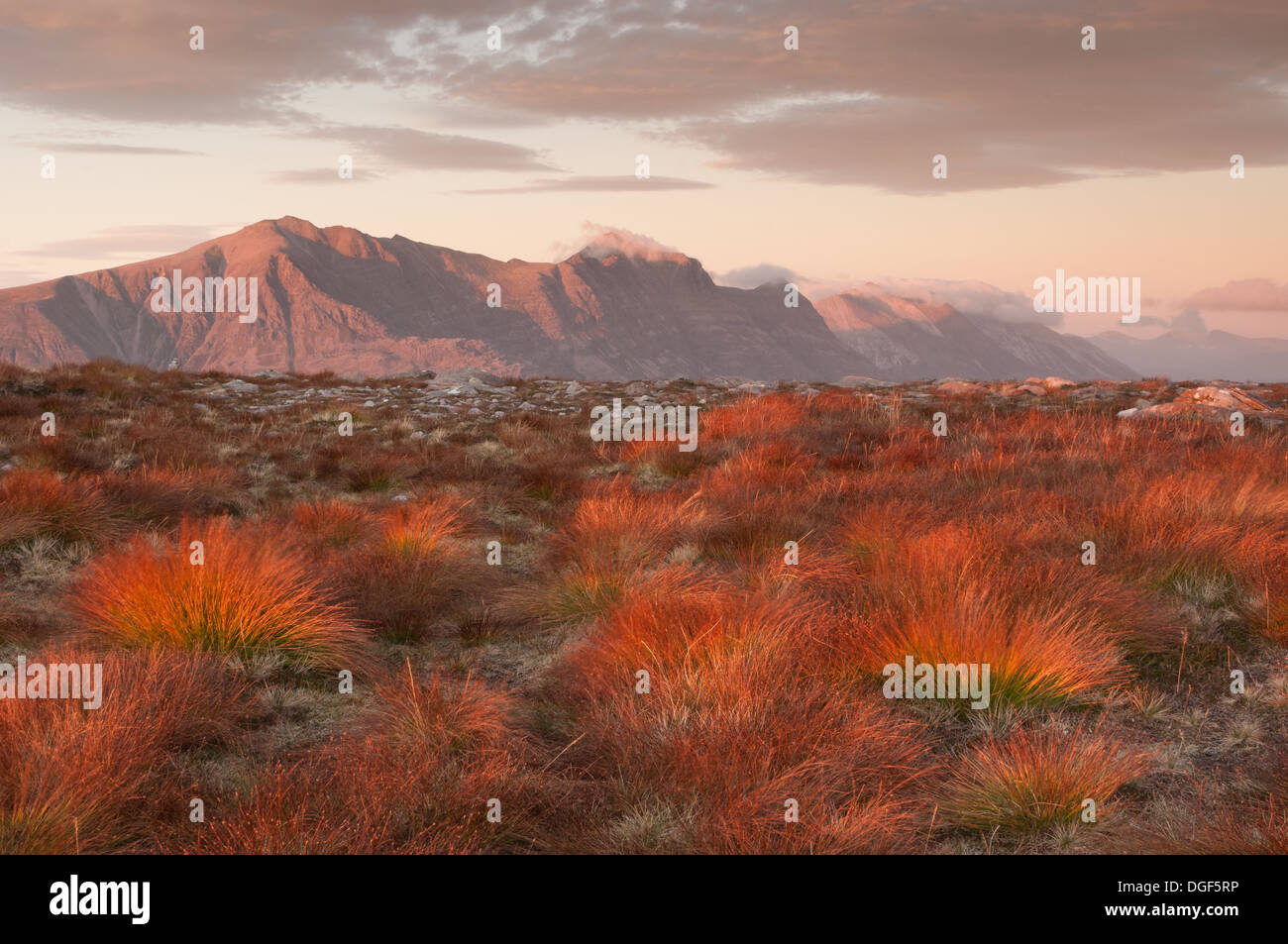 In tarda serata la luce del sole su Liathach ed erba su Beinn Damh, Torridon, Wester Ross, Highlands scozzesi Foto Stock