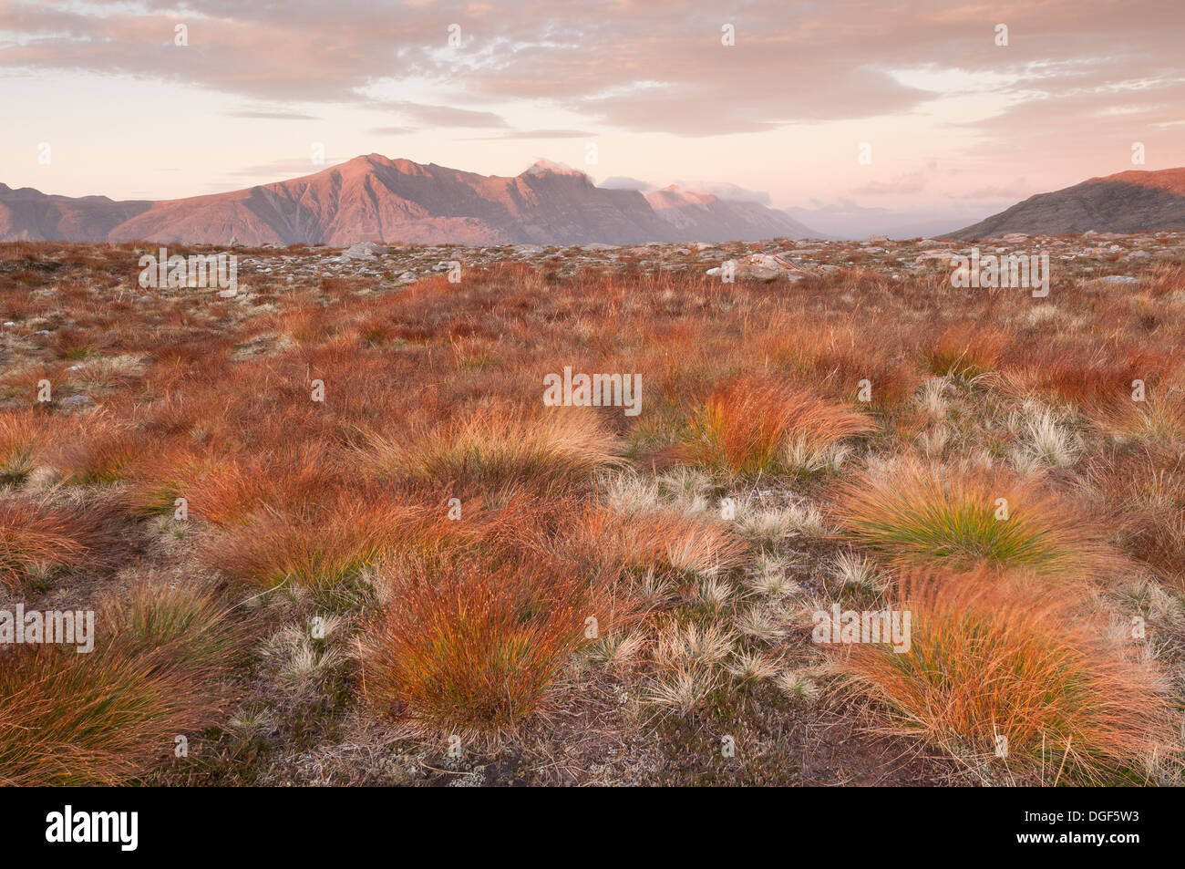 In tarda serata la luce del sole su Liathach, preso da Beinn Damh, Torridon, Wester Ross, Highlands scozzesi Foto Stock
