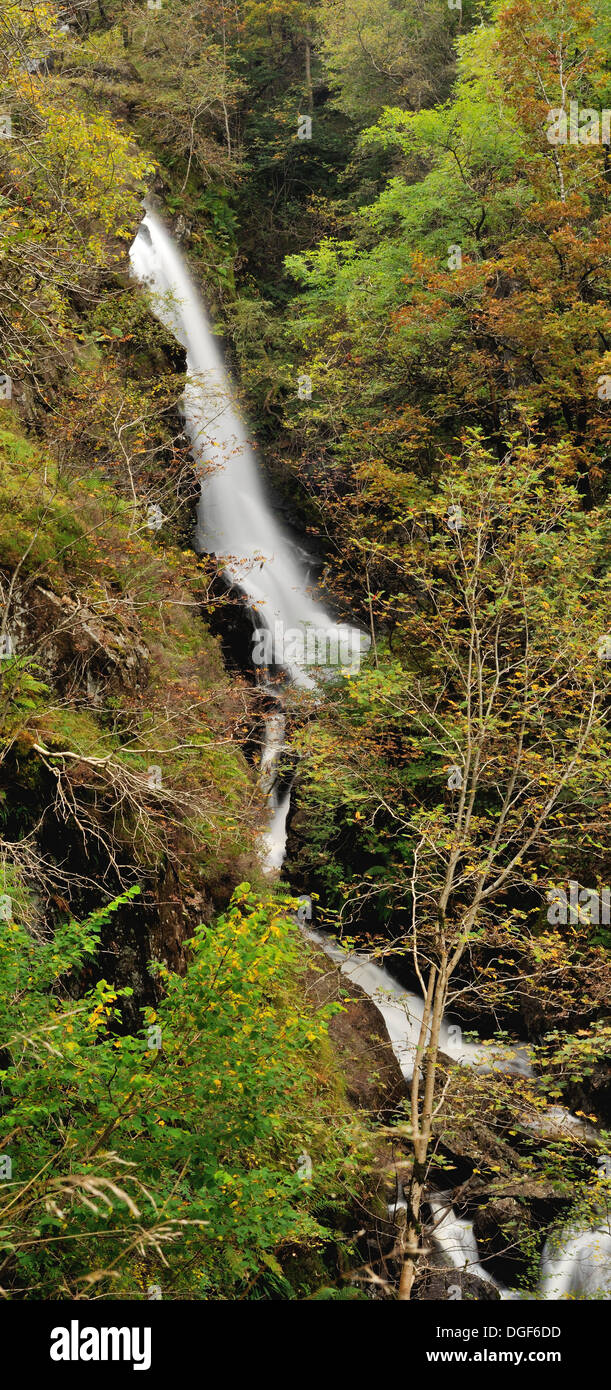 La cascata nel bosco di Launchy Gill vicino Thirlmere, Lake District inglese Foto Stock