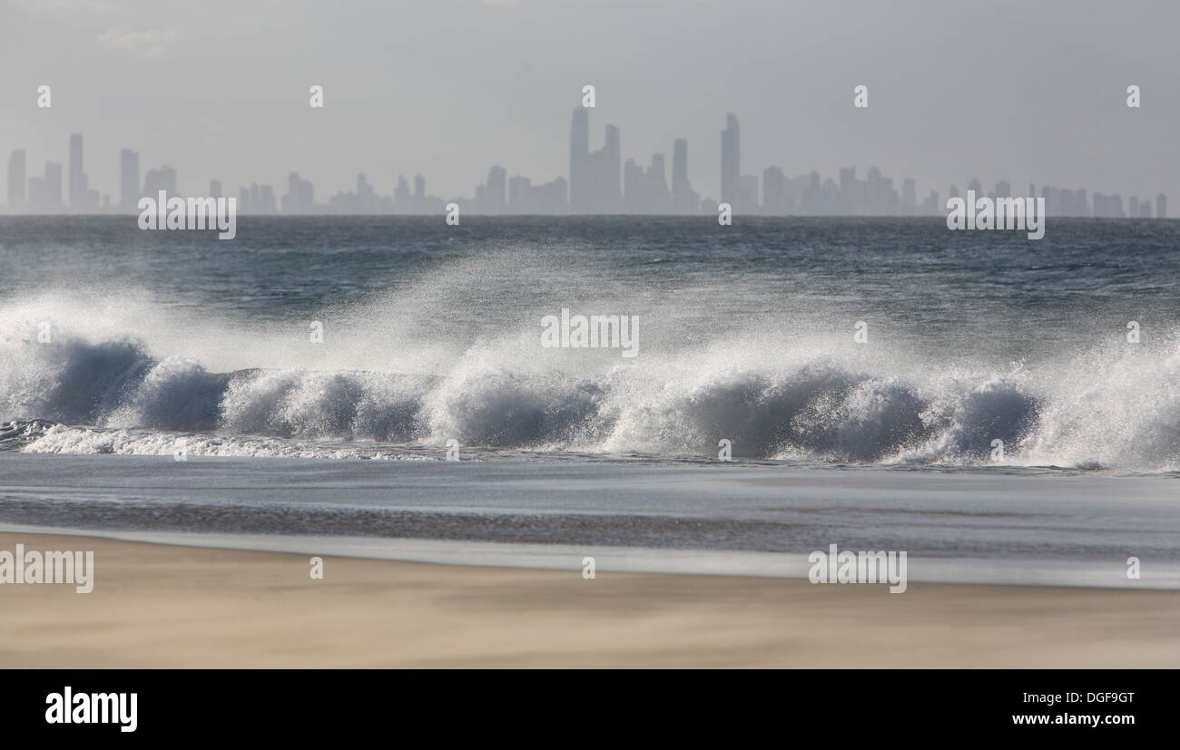 Surf di rotolamento con Surfers Paradise skyline in background. La Gold Coast, Queensland, Australia. Foto Stock