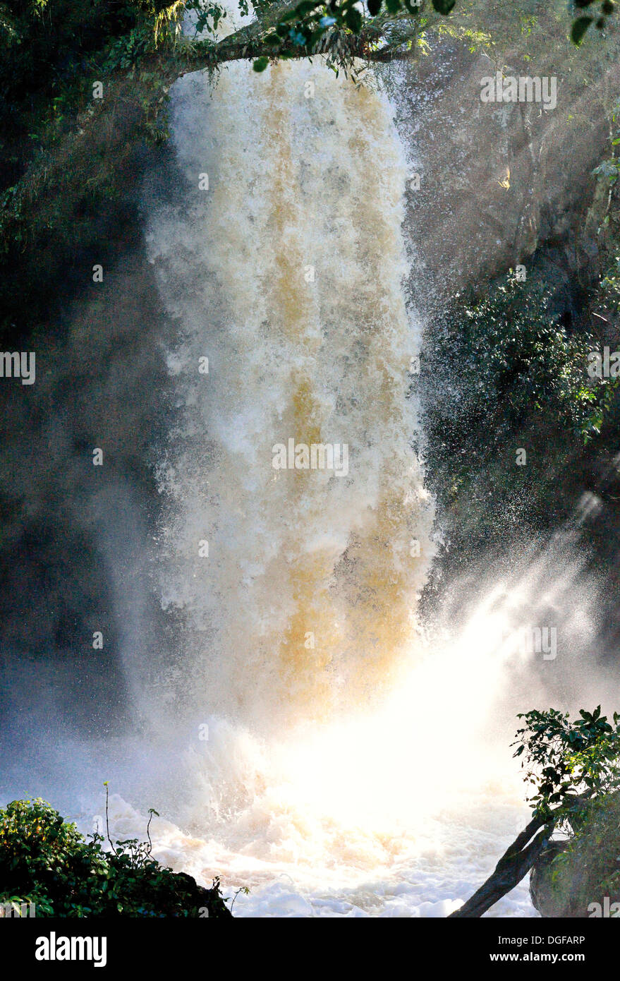 Argentina, Iguassu Parco Nazionale: singoli cascata di Iguassu Falls Foto Stock
