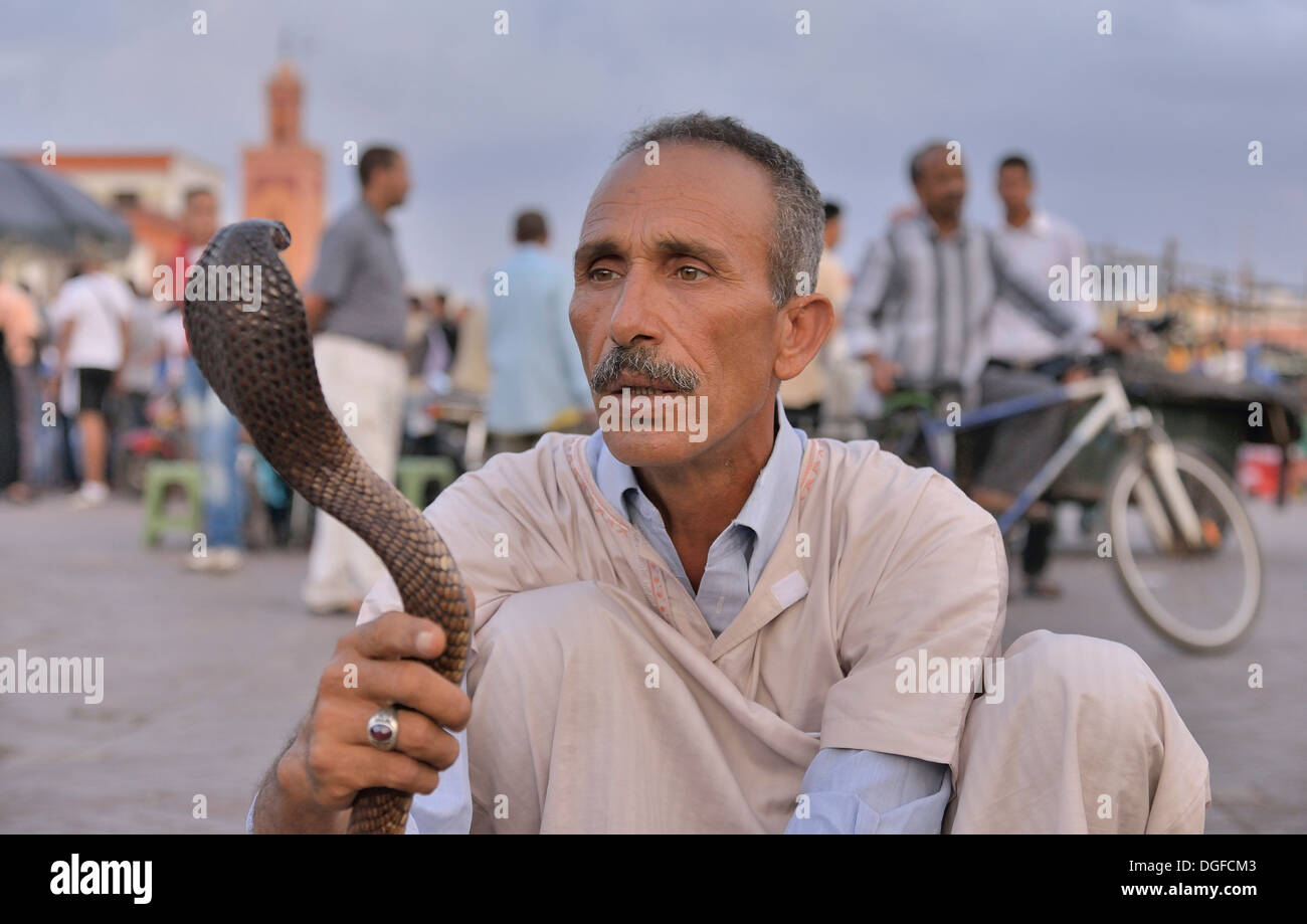 Il serpente incantatore a Djemaa el Fna piazza del mercato, centro storico, Marrakech, Marrakesh-Tensift-El Haouz regione, Marocco Foto Stock