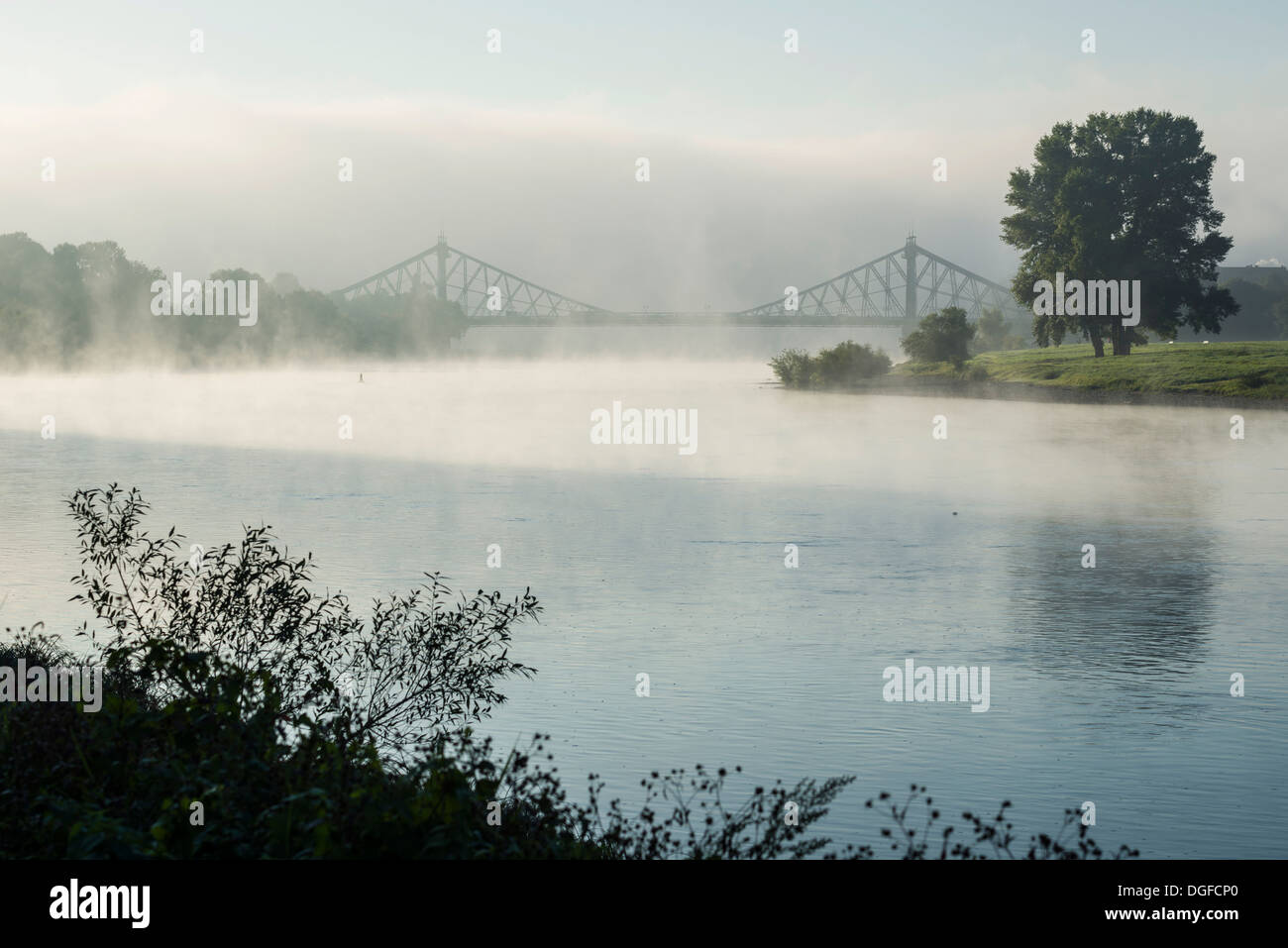 Nebbia di mattina sul fiume Elba, Loschwitz Bridge o meraviglia blu ponte all'indietro, Dresda, Sassonia, Germania Foto Stock
