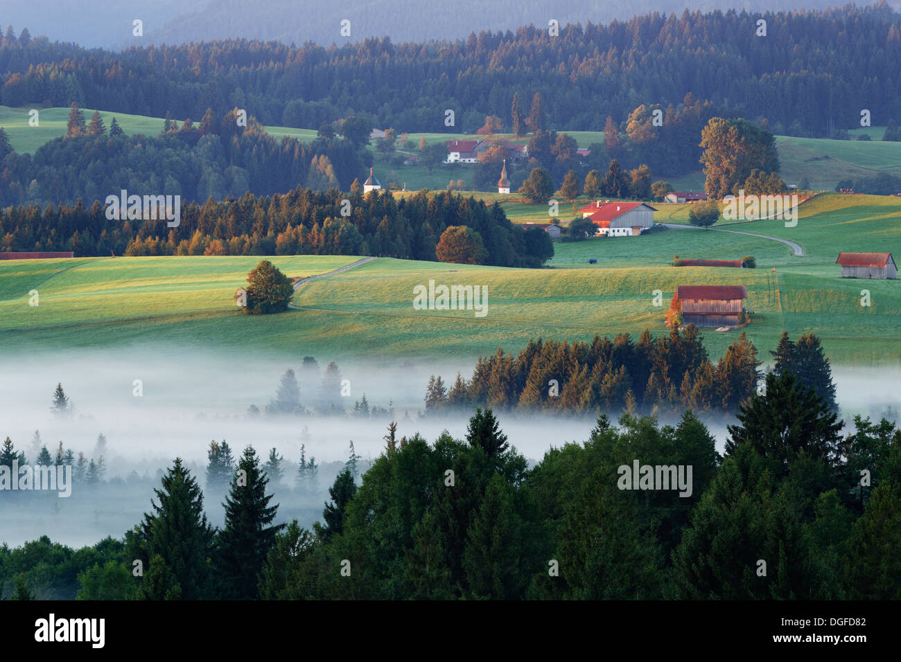 Paesaggio alpino, Foreland Atmosfera mattutina con la nebbia, Bad Bayersoien, Saulgrub, Pfaffenwinkel regione, Alta Baviera, Baviera Foto Stock